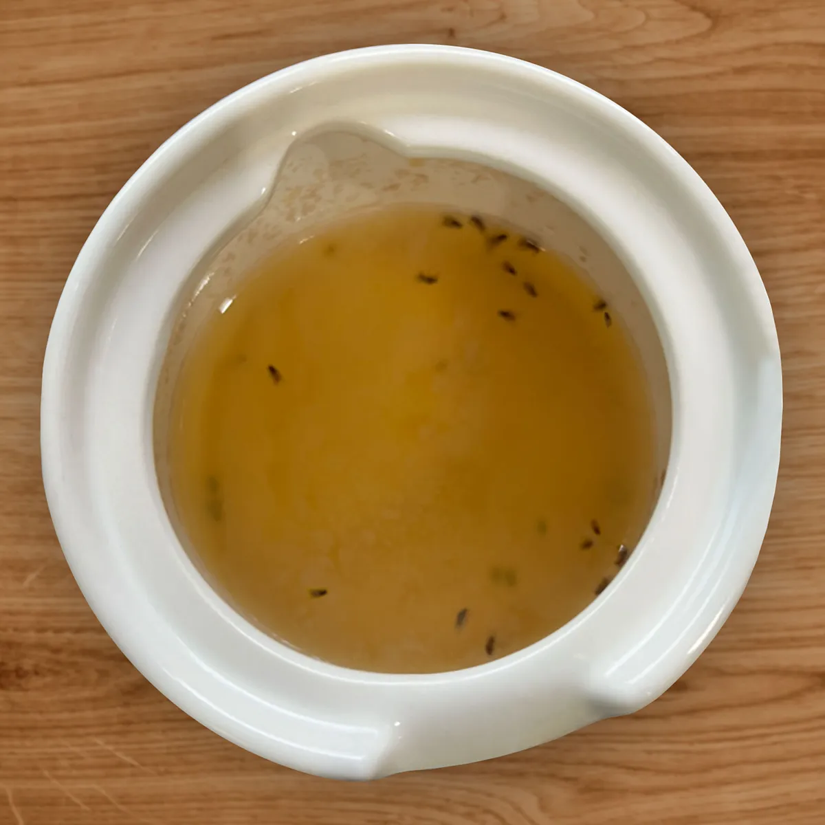 Indoor Fruit Fly Trap catching flies