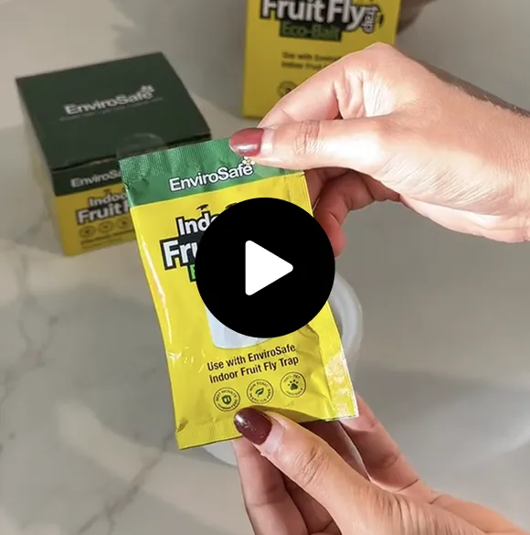 Indoor Fruit Fly Trap intro video preview