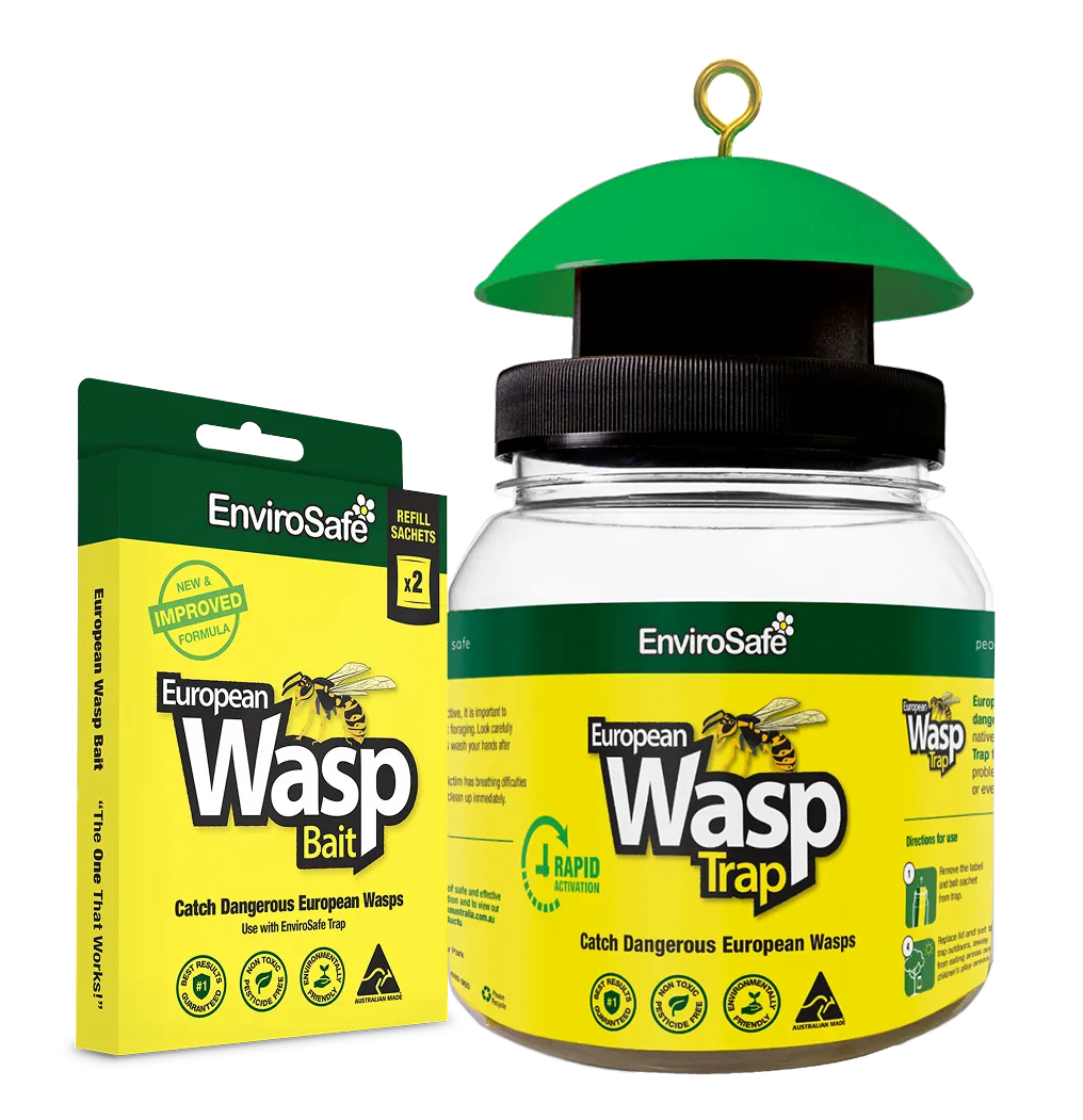 European wasp trap