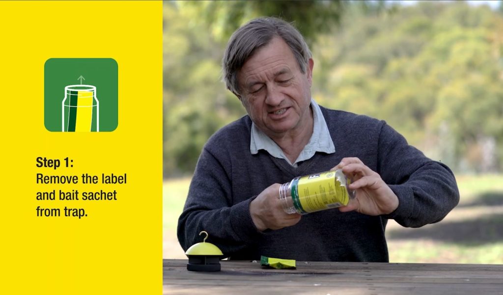 fly trap set up step 1