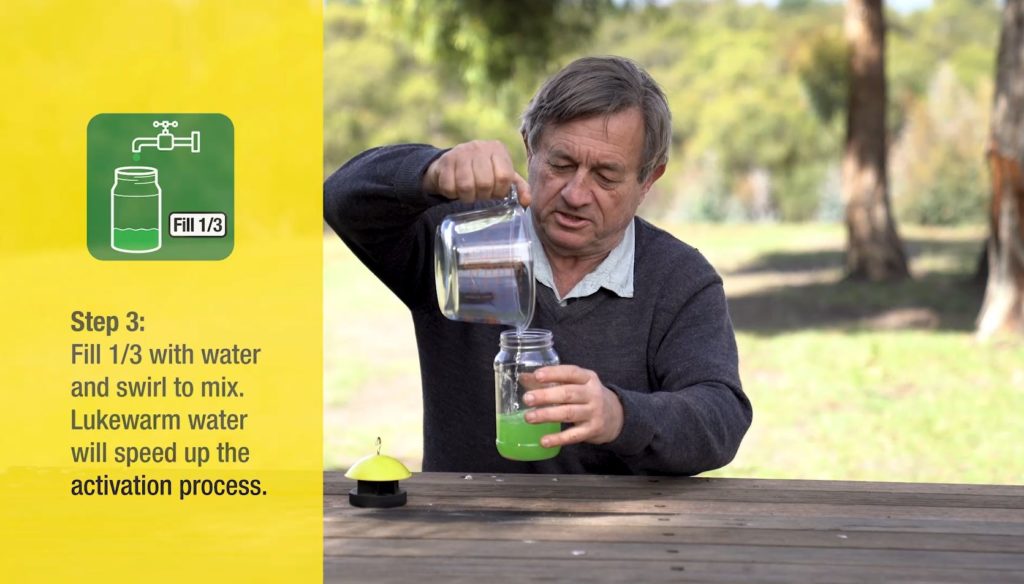 fly trap set up step 3