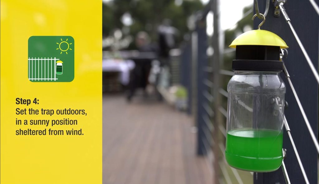 fly trap set up step 4