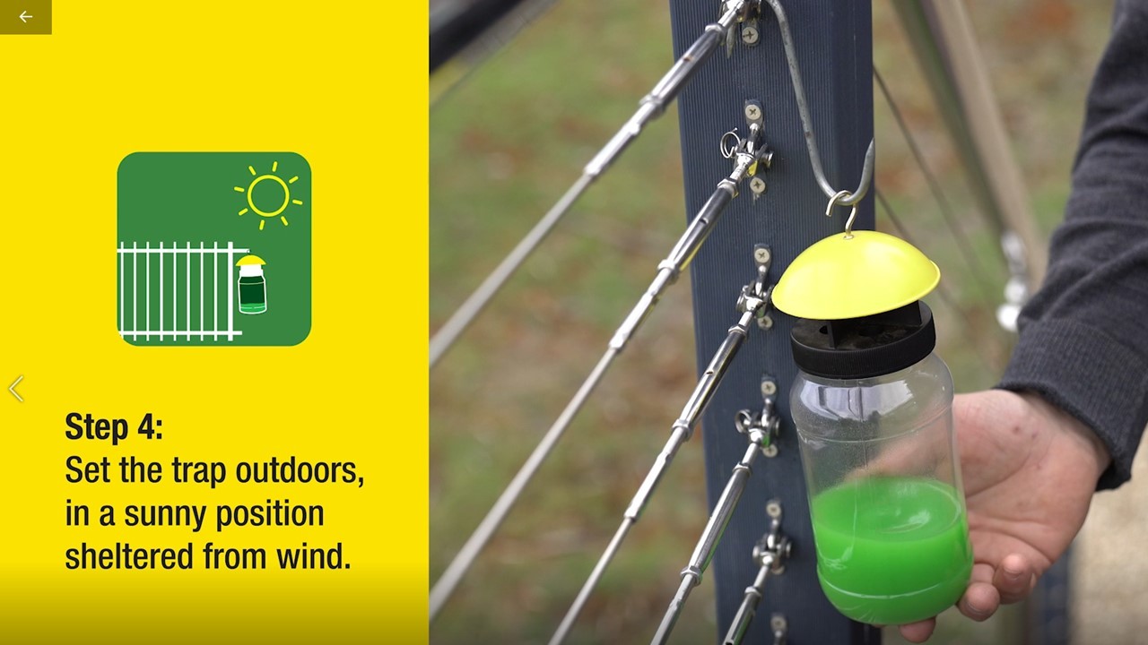 How to set your EnviroSafe Fly Trap